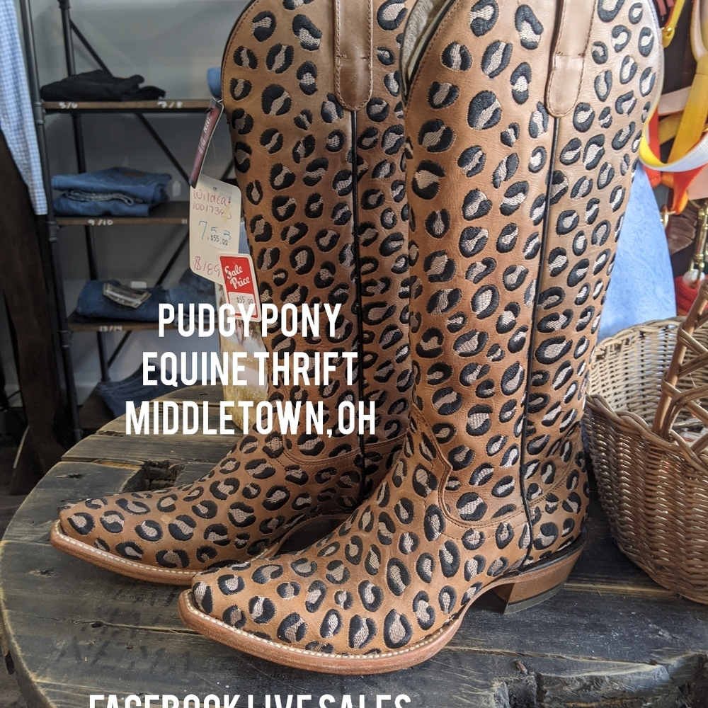 Ariat boots wildcat